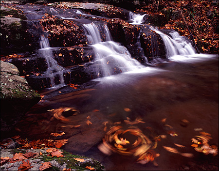 Swirling Fall Leaves, Rose River, Shenandoah National Park, VA