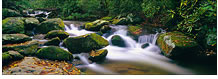 The Roaring Fork, Great Smokey Mountains National Park, TN