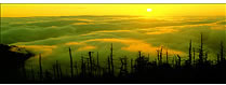 Golden Sunrise from Clingman's Dome, Great Smokey Mountains National Park