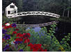 Flowers and Bridge on Mount Desert Island, Maine