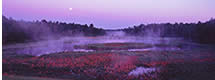 Moon Setting at Sunrise Near Itasca State Park, MN 