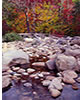 Rocky River in Fall, NH