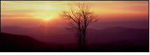 Approaching Sunset on Skyline Drive, Shenandoah National Park, VAA