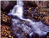 Jones Run Falls in Fall, Shenandoah National Park, VA